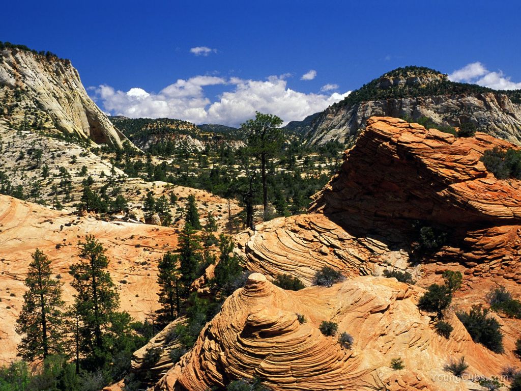 Swirling Sandstone Formations, Zion National Park, Utah
